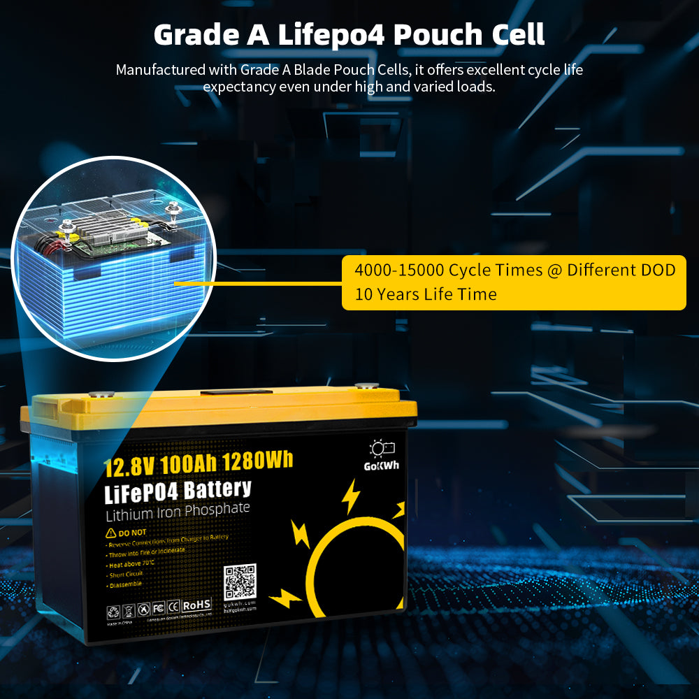 12V 100Ah LCD Built in BMS LiFePO4 Battery